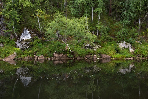 Rivier tussen de rotsen