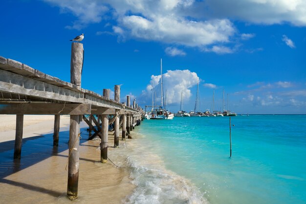 Riviera maya maroma spiaggia caraibica messico