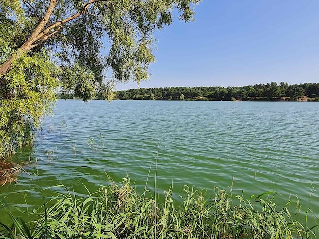 Rivierachtergrond bij zonnig weer