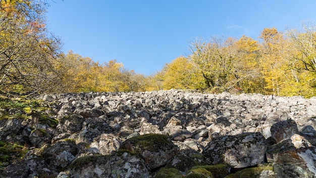 Rivierbedding in herfstbos. Krasnaya Polyana, Sochi, Rusland.