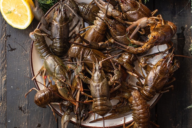 Rivierkreeft rauwe verse zeevruchten maaltijd snack kopie ruimte voedsel achtergrond rustiek vegetarisch eten