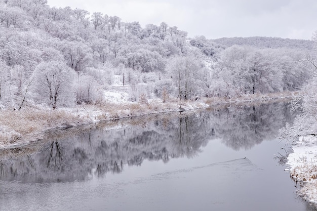 Foto rivierlandschap en bomen bedekt met verse sneeuw tijdens kerstmis in de winter