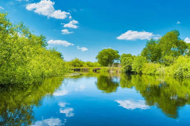 Rivierlandschap en groen bos met bomen blauwe waterwolken op sky