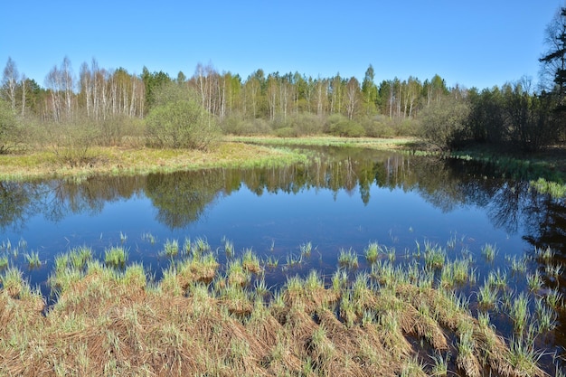 Rivierlandschap in het vroege voorjaar