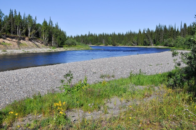 Rivierlandschap taiga kiezels en zon