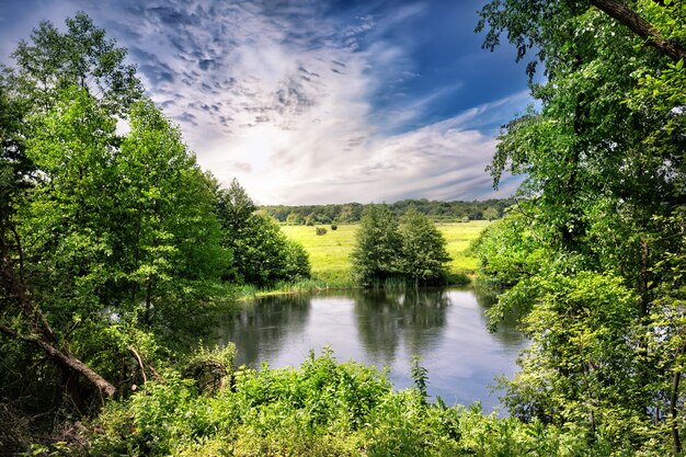 Rivieroever met groene bomen en een weide