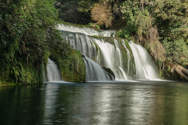 Rivierwater stroomt snel door een waterval in de wildernis van een dichte, weelderige inheemse struik in Nieuw-Zeeland