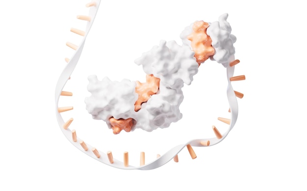 RNA and proteins with biological concept 3d rendering