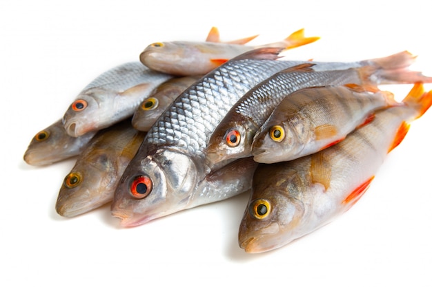 Roach and perch. Raw fish on a white background