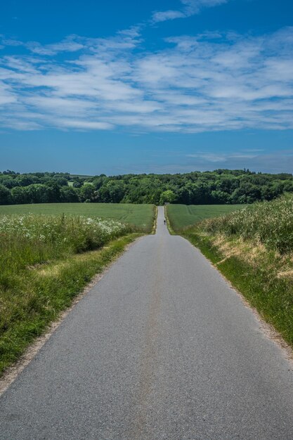 Road in agricultutal hilly landscape with crop fields vanishing point