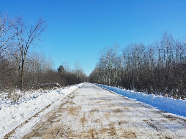 明るい青い空を背景に雪が積もった景色の裸の木を沿った道路