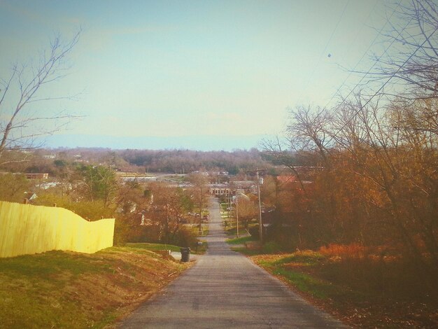 Road along buildings