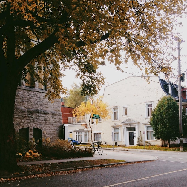 Photo road along buildings