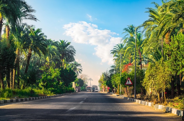 Road along the canal of the Nile River