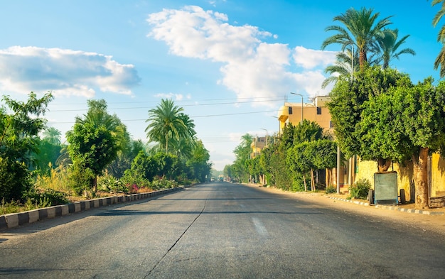 Road along the canal of the Nile River