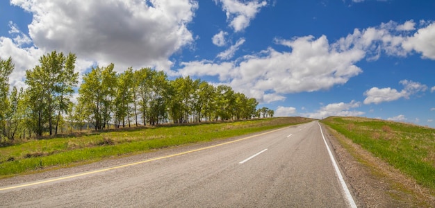 Photo the road along the forest spring meadows and fields