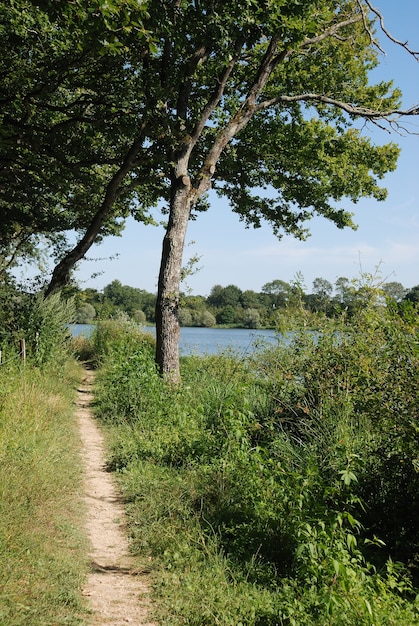 Road along pond