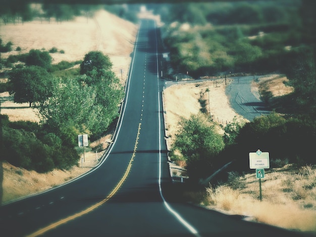 Road along trees