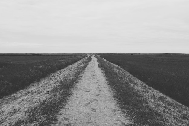 Photo road amidst agricultural field against sky