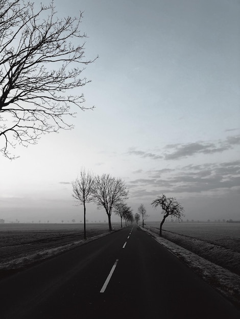 Road amidst bare trees against sky