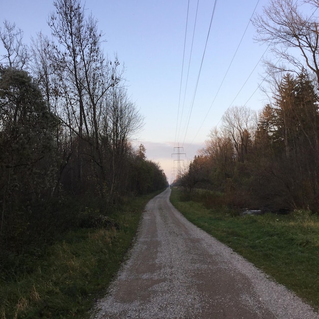 Road amidst bare trees against sky