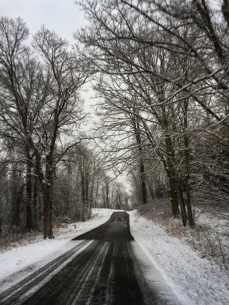 Road amidst bare trees during winter