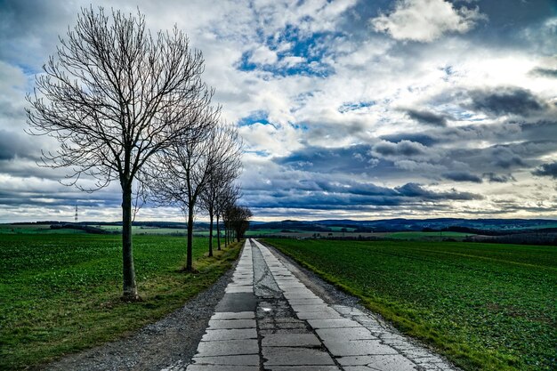 Road amidst bare trees on field against sky