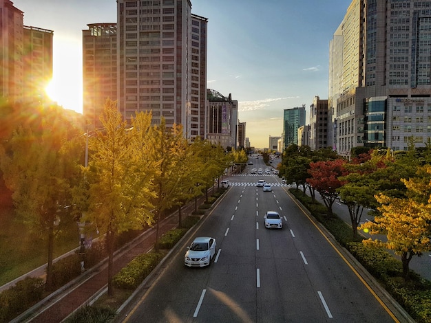 Photo road amidst buildings against sky during autumn