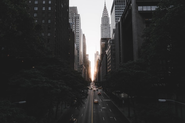 Photo road amidst buildings in city