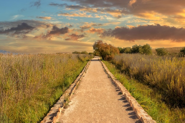 Photo road amidst field against sky during sunset