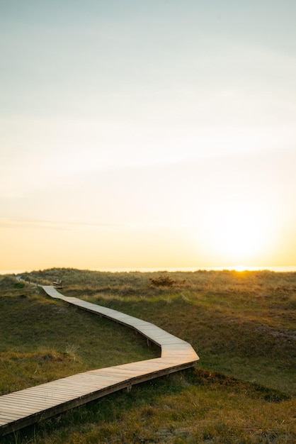 Photo road amidst field against sky during sunset