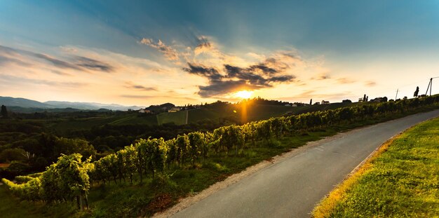 Foto strada in mezzo al campo contro il cielo durante il tramonto