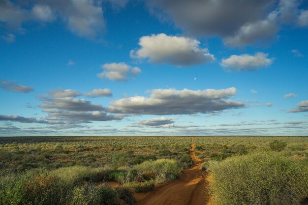 Road amidst field against sky