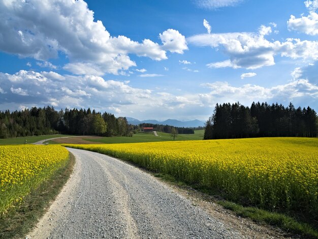 Foto strada in mezzo al campo contro il cielo