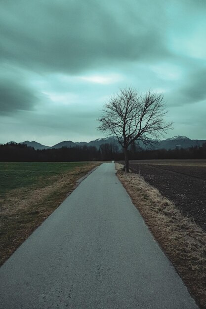 Photo road amidst field against sky