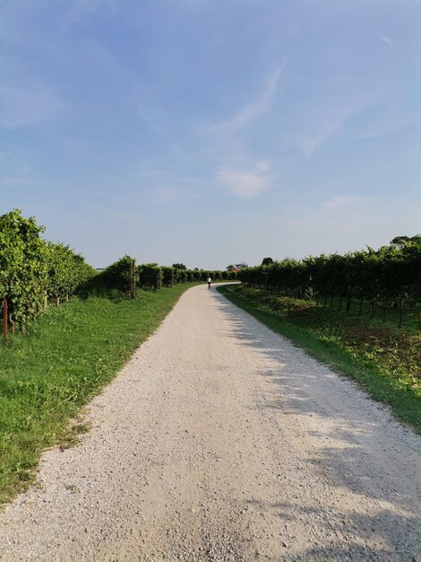 Road amidst field against sky