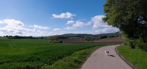 Foto strada in mezzo al campo contro il cielo