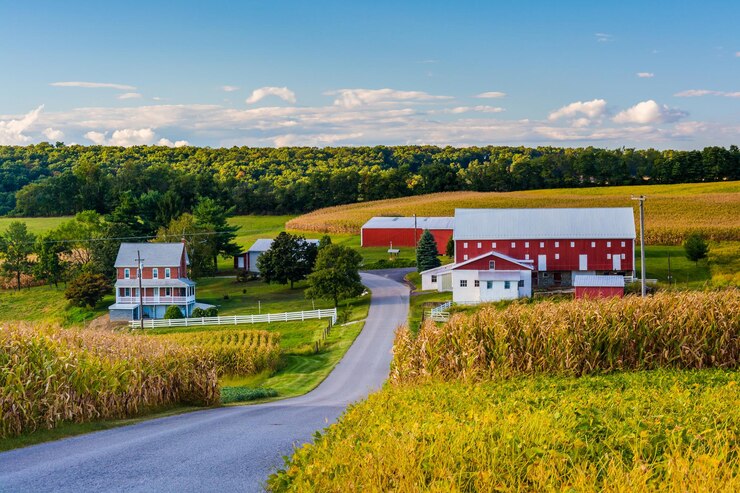 Photo road amidst field and houses against sky