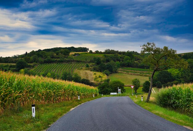 Foto strada in mezzo ai campi contro il cielo