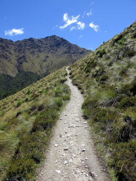 空に照らされた緑の山の中の道