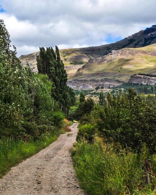 Road amidst plants against sky