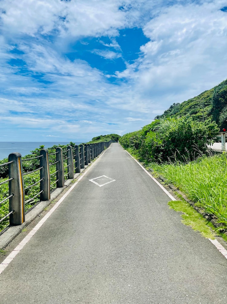Photo 天空に照らされた植物の中の道路