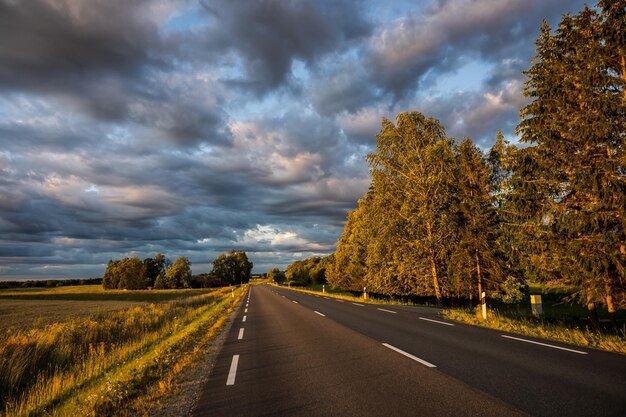 Foto strada tra piante e alberi contro il cielo