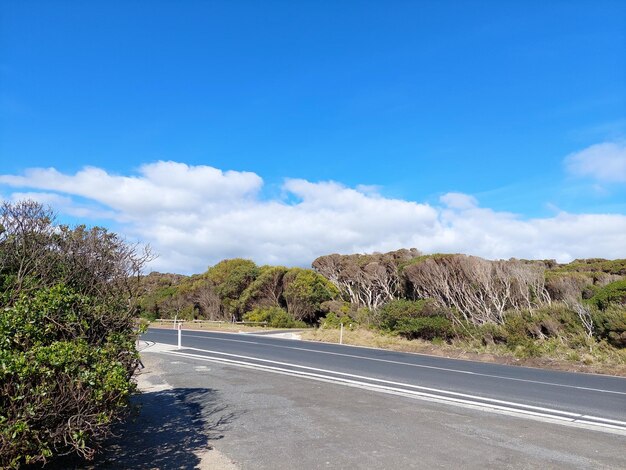 Road amidst plants and trees against sky