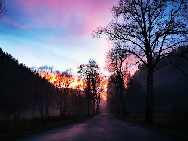 Photo road amidst silhouette trees against sky during sunset