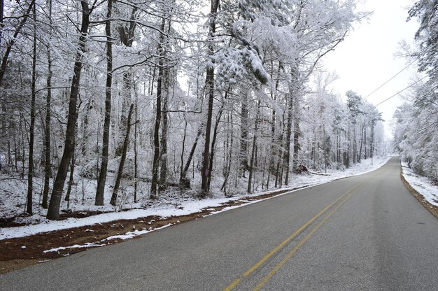 Road amidst snow-covered trees during winter