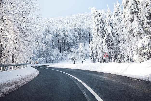 雪に覆われた木の間にある道