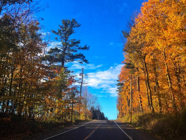 Road amidst trees against blue sky during autumn