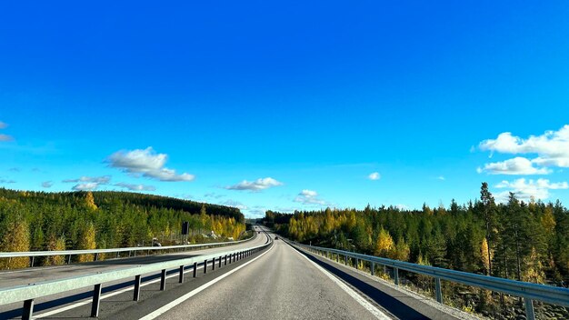 Road amidst trees against blue sky