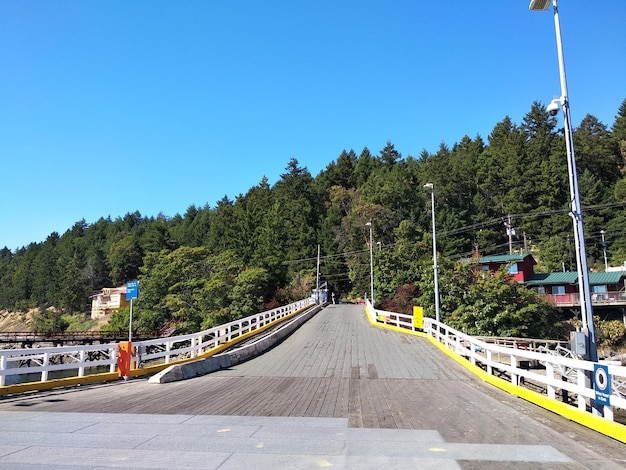 Road amidst trees against clear blue sky